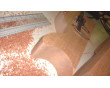 AGW Mahogany Single Cutaway Guitar