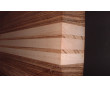 AGW SX Zebra Wood Double Cutaway Guitar