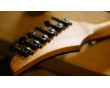 AGW SX Zebra Wood Double Cutaway Guitar
